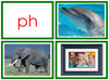 Montessori Moveable Alphabet Green Photos - Montessori Print Shop