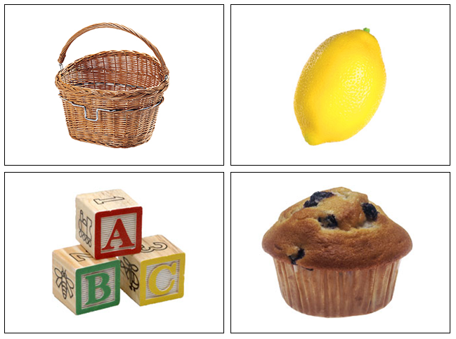 Montessori Moveable Alphabet Photos Step 2 - Montessori Print Shop Digital Download