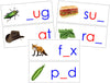 Wooden Print Moveable Alphabet Sound Cards Bundle blue/red - Montessori Print Shop