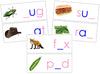 Wooden Print Moveable Alphabet Sound Cards Bundle pink/blue - Montessori Print Shop