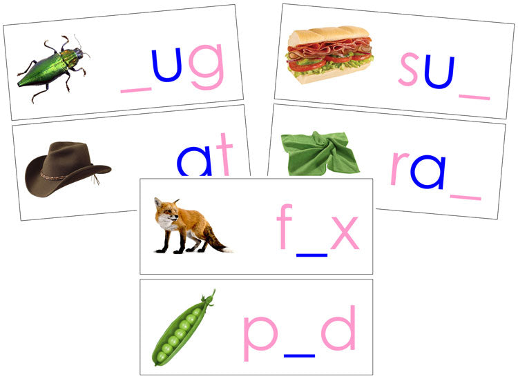 Wooden Print Moveable Alphabet Sound Cards Bundle pink/blue - Montessori Print Shop Digital Download