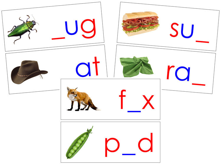 Wooden Print Moveable Alphabet Sound Cards Bundle red/blue - Montessori Print Shop Digital Download