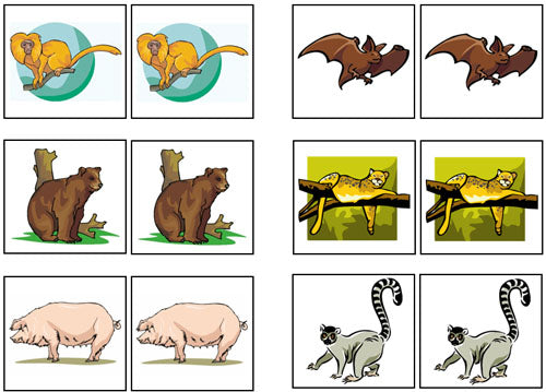 Mammal Match-Up & Memory Game - Montessori Print Shop Digital Download