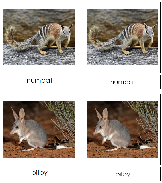 Marsupials - Montessori Print Shop