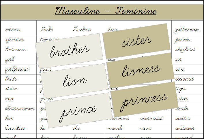 Masculine & Feminine Matching Cards - Montessori Print Shop Digital Download Grammar Lessons