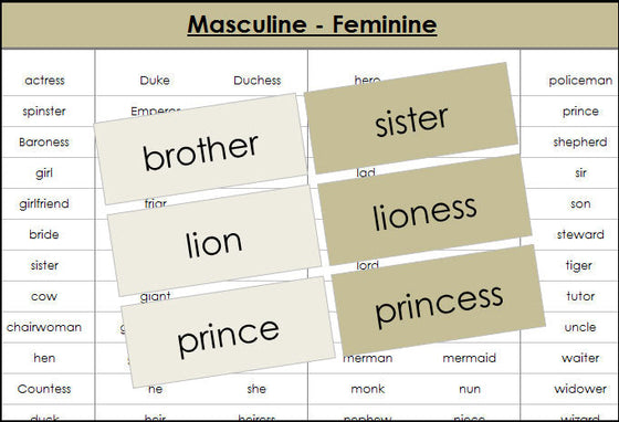 Masculine and feminine cards (color) - Montessori Print Shop grammar