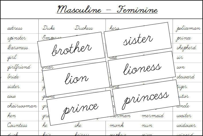 Masculine & Feminine Cards (cursive) - Montessori Print Shop Digital Download Grammar Lesson