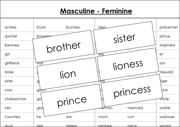 Masculine and feminine cards - Montessori Print Shop Digital Download grammar