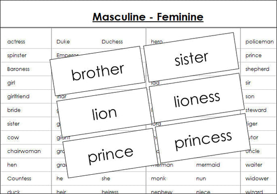 Masculine and feminine cards - Montessori Print Shop grammar