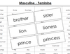 Masculine & Feminine Matching Cards - Montessori Print Shop grammar lesson