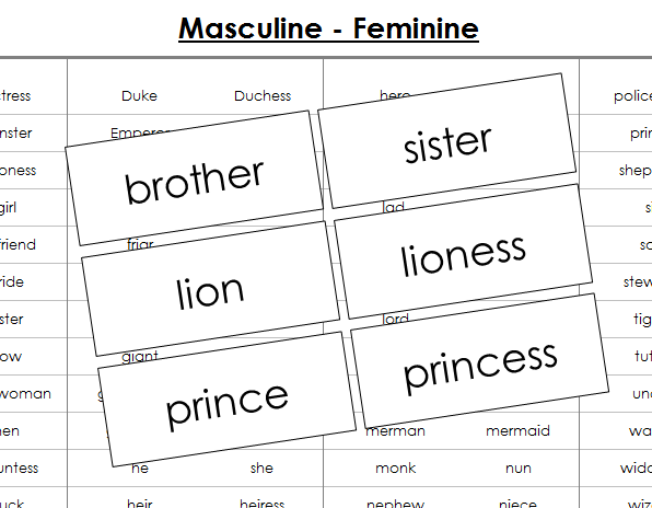 Masculine & Feminine Matching Cards - Montessori Print Shop Digital Download grammar lesson