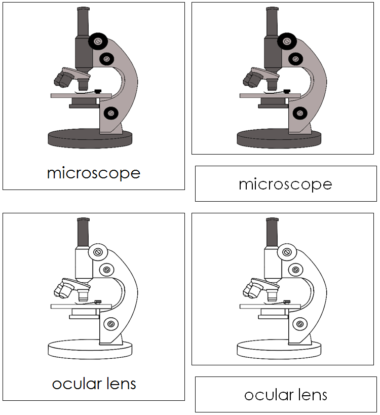 Microscope Nomenclature 3-Part Cards - Montessori Print Shop