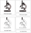 Microscope Nomenclature 3-Part Cards - Montessori Print Shop