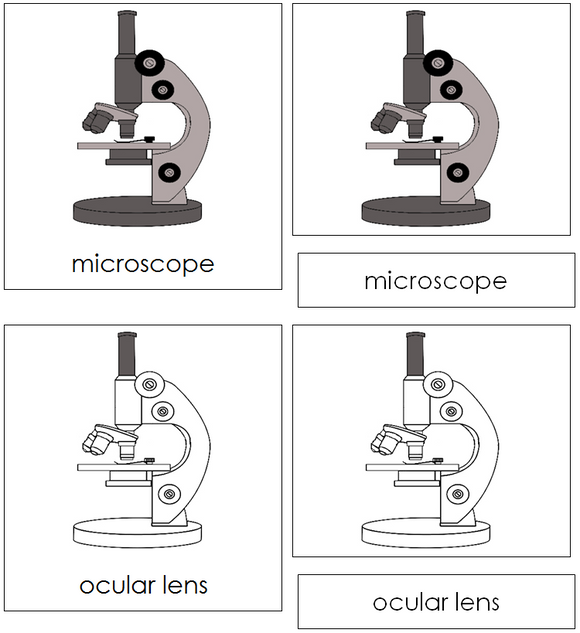 Microscope Nomenclature Cards - Montessori Print Shop