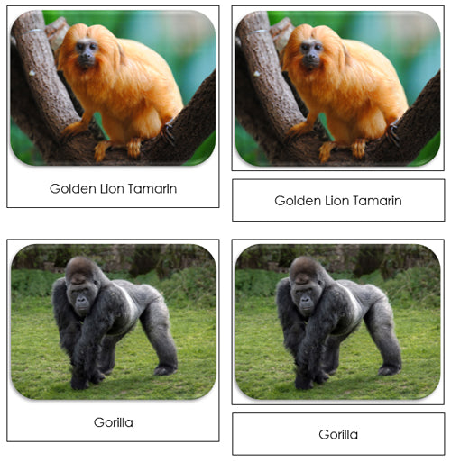 Monkeys and Apes Safari Toob Cards - Montessori Print Shop