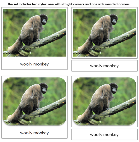 Monkeys and Apes - Safari Toob Cards - Montessori Print Shop Digital Download