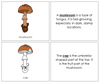 Parts of a mushroom Nomenclature Book - Montessori Print Shop