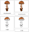 Mushroom Nomenclature 3-Part Cards - Montessori Print Shop
