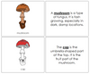 Parts of a Mushroom Nomenclature Book (red) - Montessori Print Shop