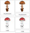 Parts of a Mushroom Nomenclature 3-Part Cards - Montessori Print Shop