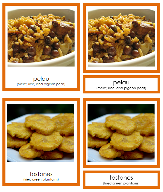 Foods of North America 3-Part Continent Cards - Montessori Print Shop Digital Download