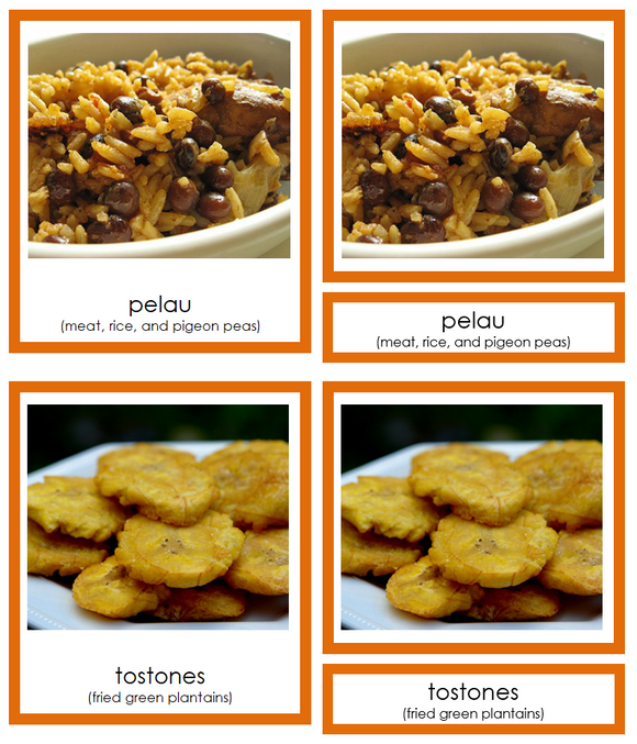 Foods of North America 3-Part Cards (color-coded) - Montessori Print Shop Digital Download