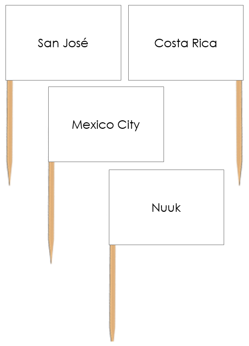  Capital Cities of North America Pin Flags - Montessori Print Shop Digital Download