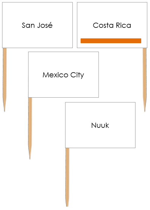  Capital Cities of North America Pin Flags (color) - Montessori Print Shop Digital Download