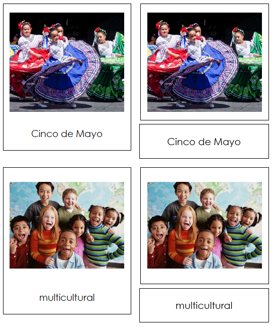 Culture of North America 3-Part Continent Cards - Montessori Print Shop Digital Download