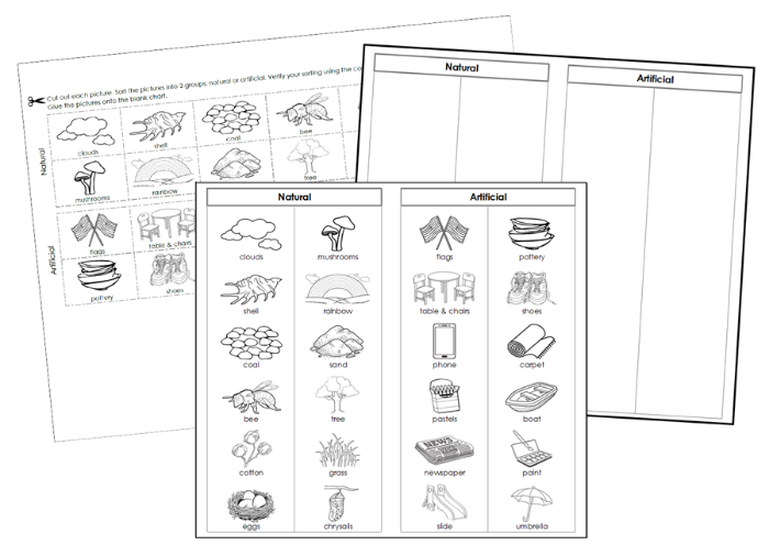 Natural and Artificial Sorting Cut & Paste Activity  (Blackline Masters) - Montessori Print Shop Digital Download