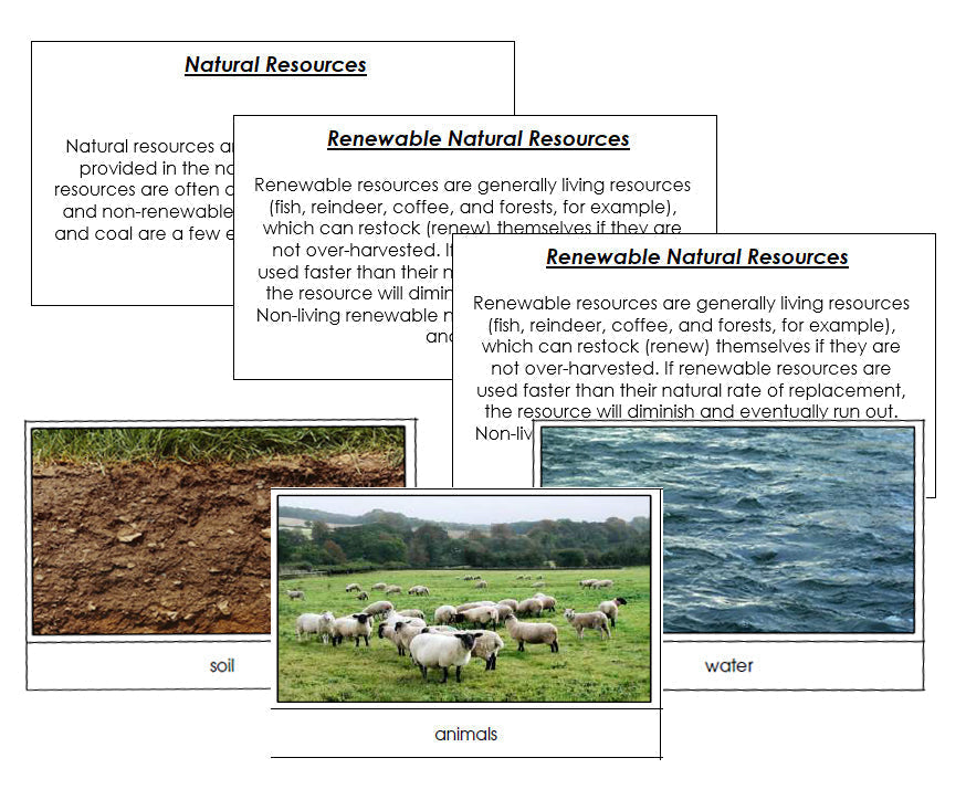 Natural Resources printable - Montessori Print Shop science