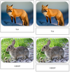 Nature Safari Toob Cards - Montessori Print Shop