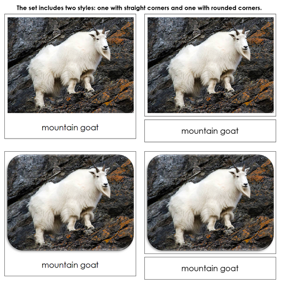 North American Wildlife Safari Toob Cards - Montessori Print Shop Digital Download