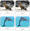 Ocean Safari Toob Cards - Montessori Print Shop