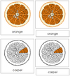 Orange Nomenclature 3-Part Cards - Montessori Print Shop