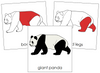 Giant Panda Nomenclature Cards (red) - Montessori Print Shop