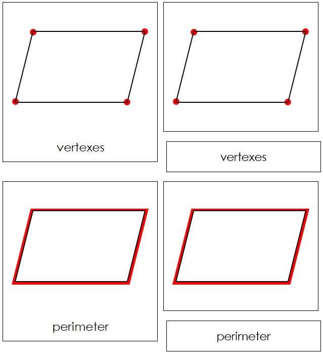 The Study of a Parallelogram Nomenclature Cards - Montessori Print Shop Digital Download