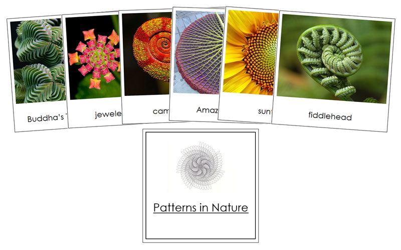 Patterns In Nature Cards - Montessori Print Shop Digital Download