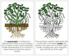 Parts of a Peanut Plant Nomenclature Book - Montessori Print Shop