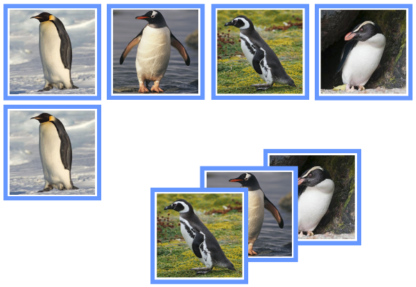 Penguin matching cards - Montessori Print Shop Digital Download