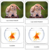 Pets Safari Toob Cards - Montessori Print Shop