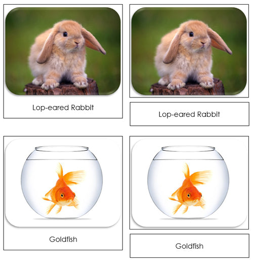 Pets Safari Toob Cards - Montessori Print Shop