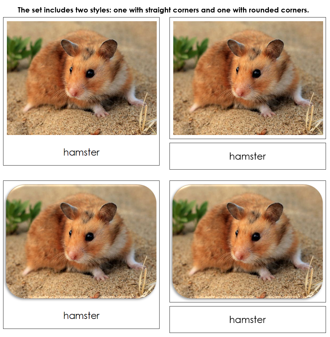 Pets Safari Toob Cards - Montessori Print Shop Digital Download