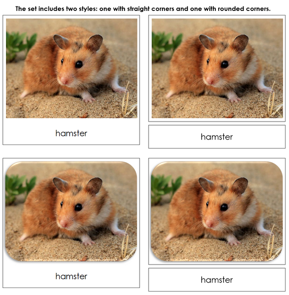 Pets Safari Toob Cards - Montessori Print Shop Digital Download