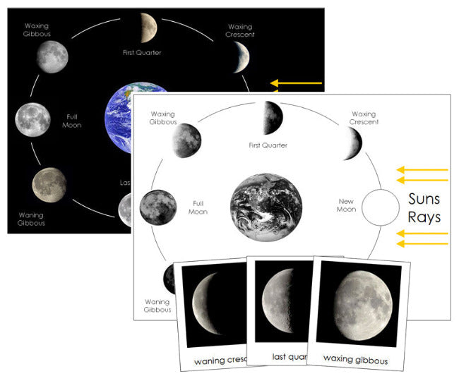Phases of the Moon Cards & Charts - Montessori Print Shop Digital Download astronomy cards
