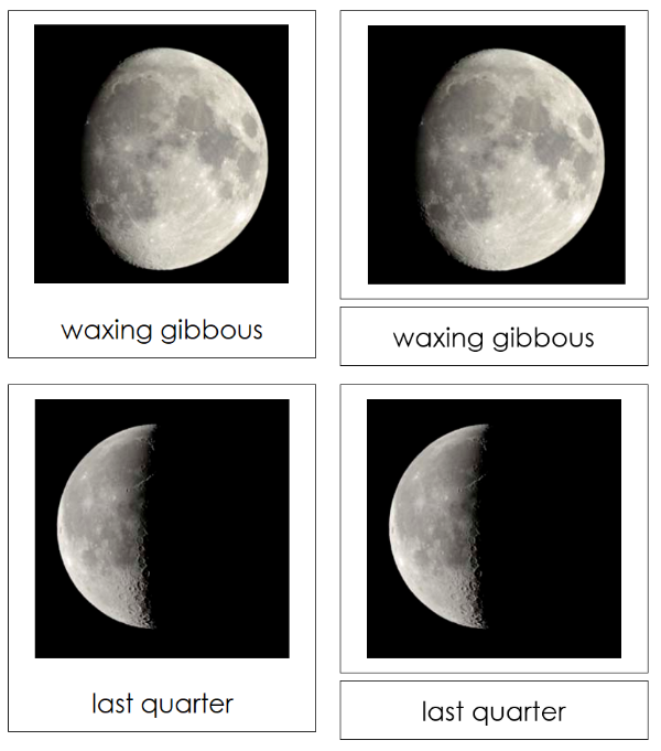 Phases of the Moon 3-Part Cards & Charts - Montessori Print Shop Digital Download astronomy cards