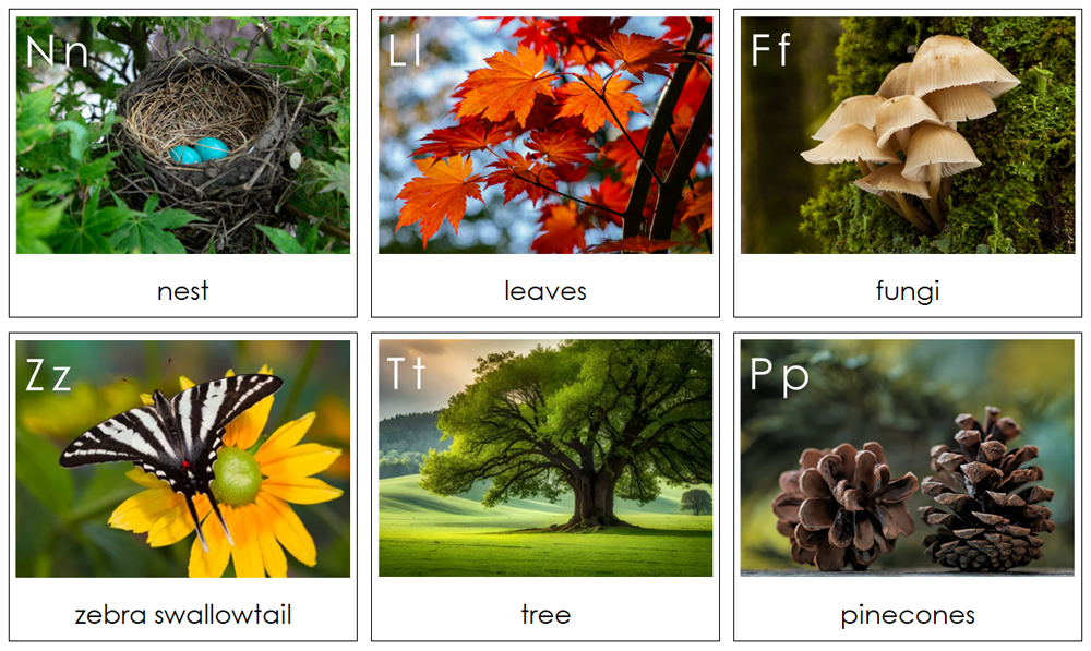 Phonetic Nature Alphabet Cards - - Montessori Print Shop Digital Download