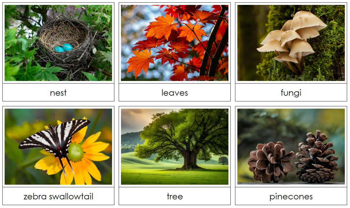 Phonetic Nature Alphabet Cards - - Montessori Print Shop Digital Download