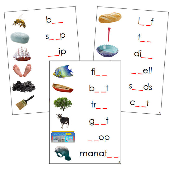 Step 3: Phonogram Sound Cards - Set 1 (photos) - Montessori Print Shop language program