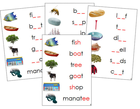 Montessori Step 3: Phonogram Sound Cards - Set 1 (photos) - Montessori Print Shop language program